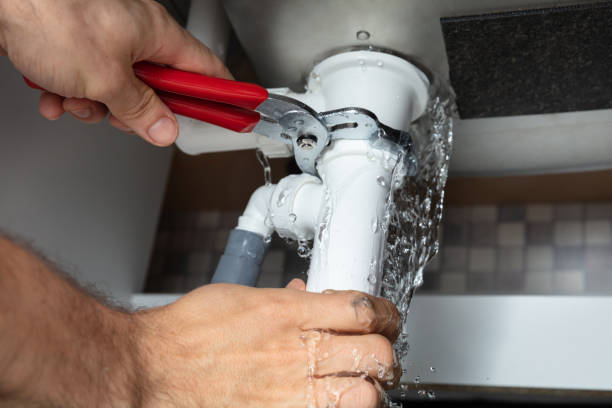 Best Water damage restoration process  in Cornersville, TN
