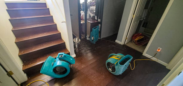Best Flood restoration services  in Cornersville, TN