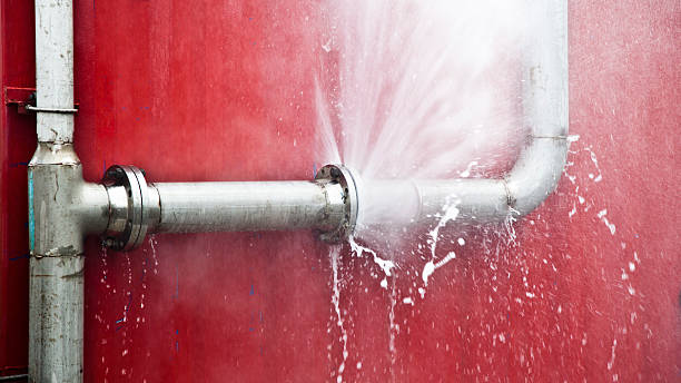 Best Commercial water damage restoration  in Cornersville, TN